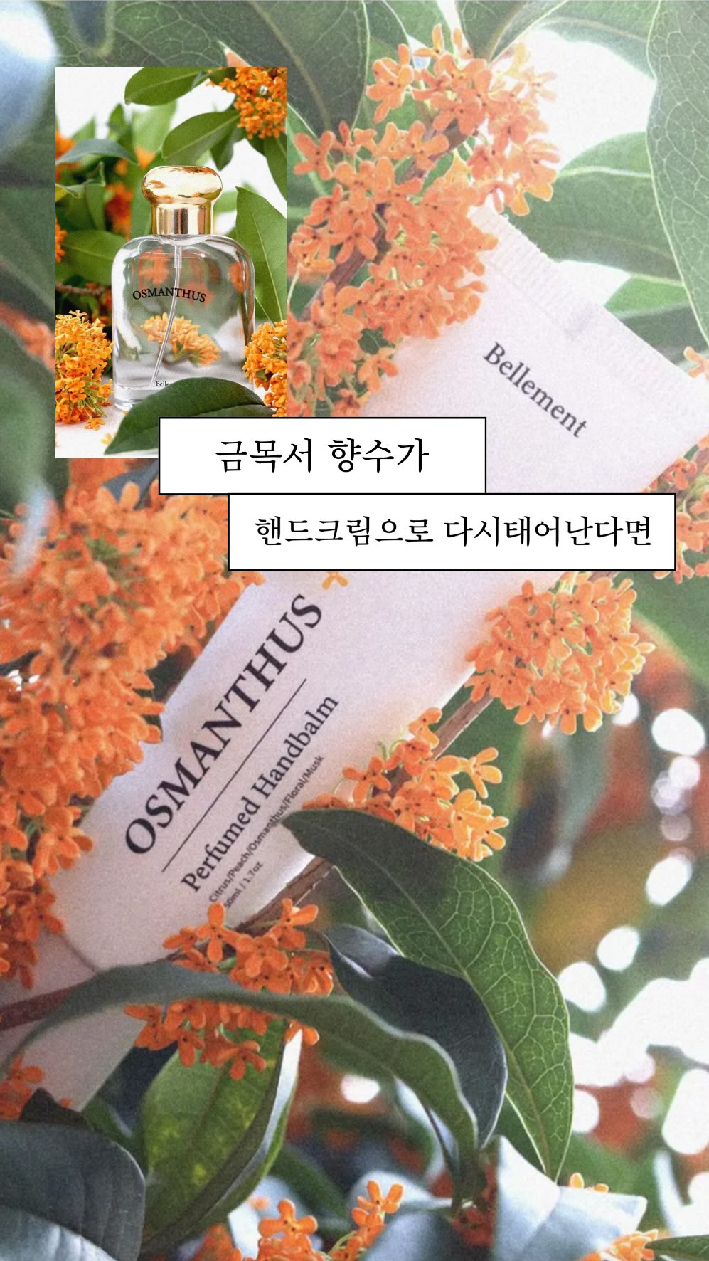@zueun.e이 올린 에이블리 크리에이터 태그 게시물
