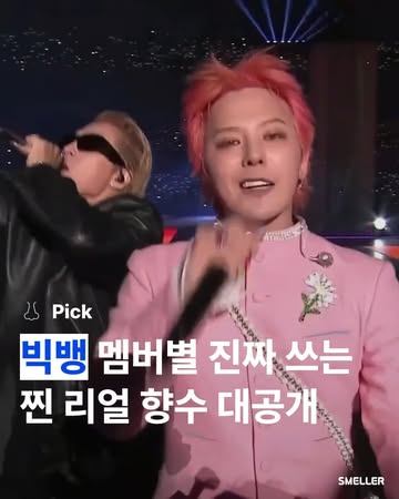 스멜러 인스타그램 대표 콘텐츠 3