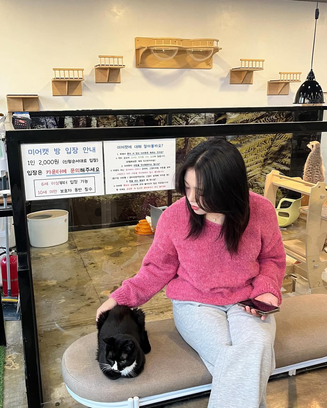 동아람 인스타그램 대표 콘텐츠 4
