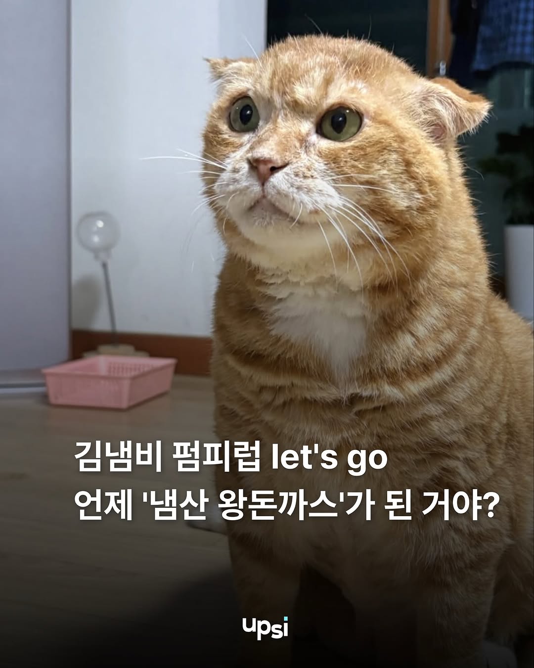 웁씨 인스타그램 대표 콘텐츠 4
