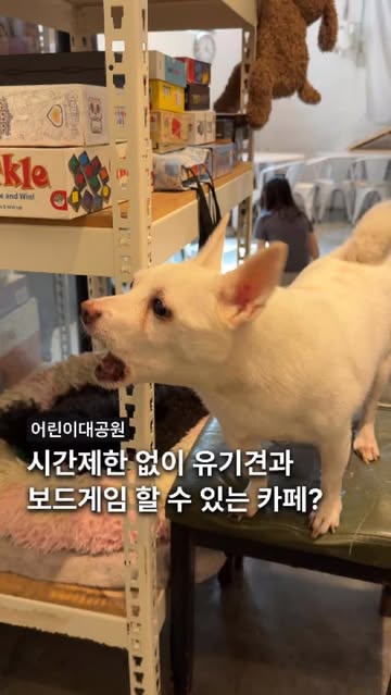 광진집 | 광진과 성수의 공간을 소개합니다 인스타그램 대표 콘텐츠 1