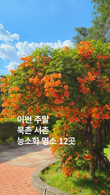 북촌마실 인스타그램 대표 콘텐츠 4