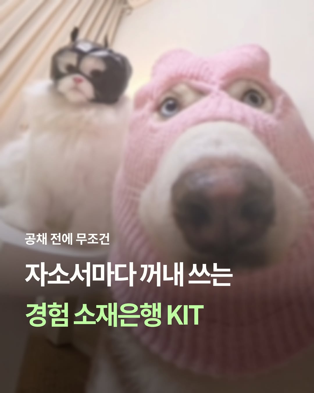 쥬띵 | 취준 · 대기업 · 외국계 인스타그램 대표 콘텐츠 4