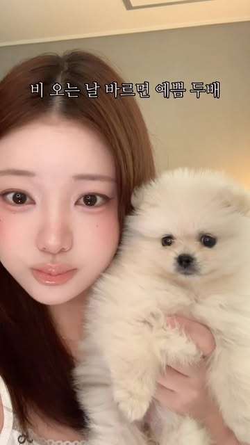 향비 인스타그램 대표 콘텐츠 5