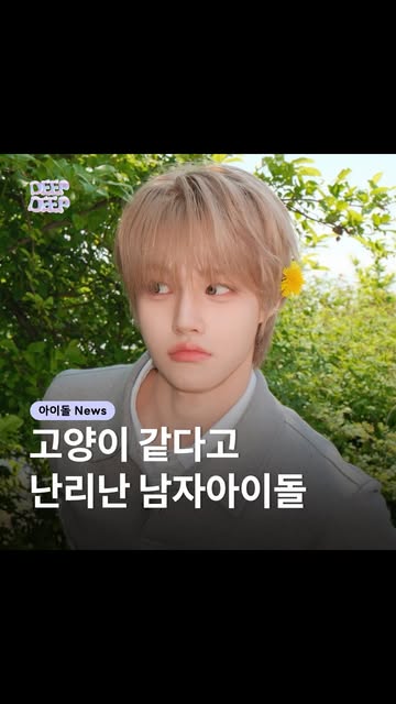 딥딥 엔터 인스타그램 대표 콘텐츠 1
