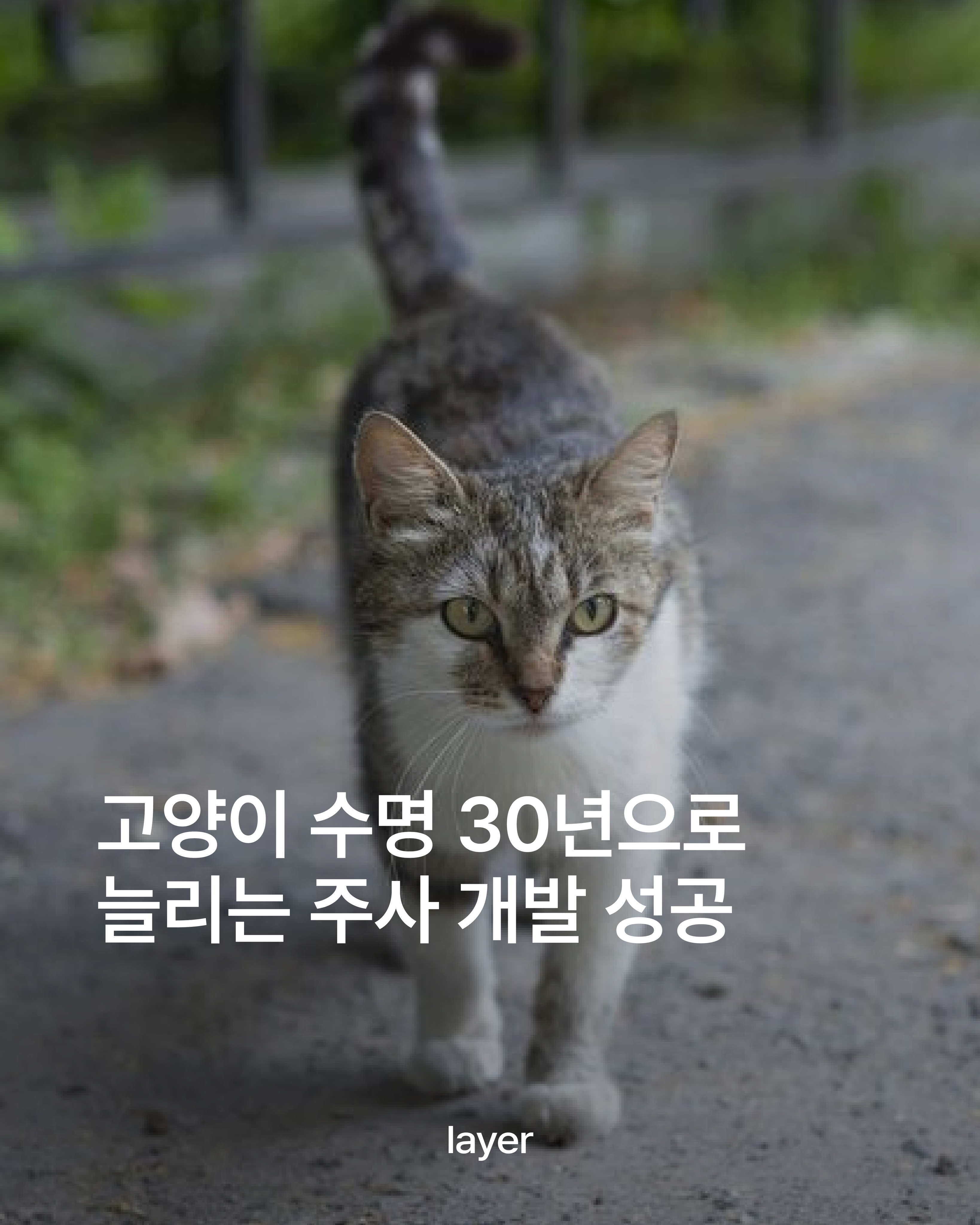 레이어 인스타그램 대표 콘텐츠 2