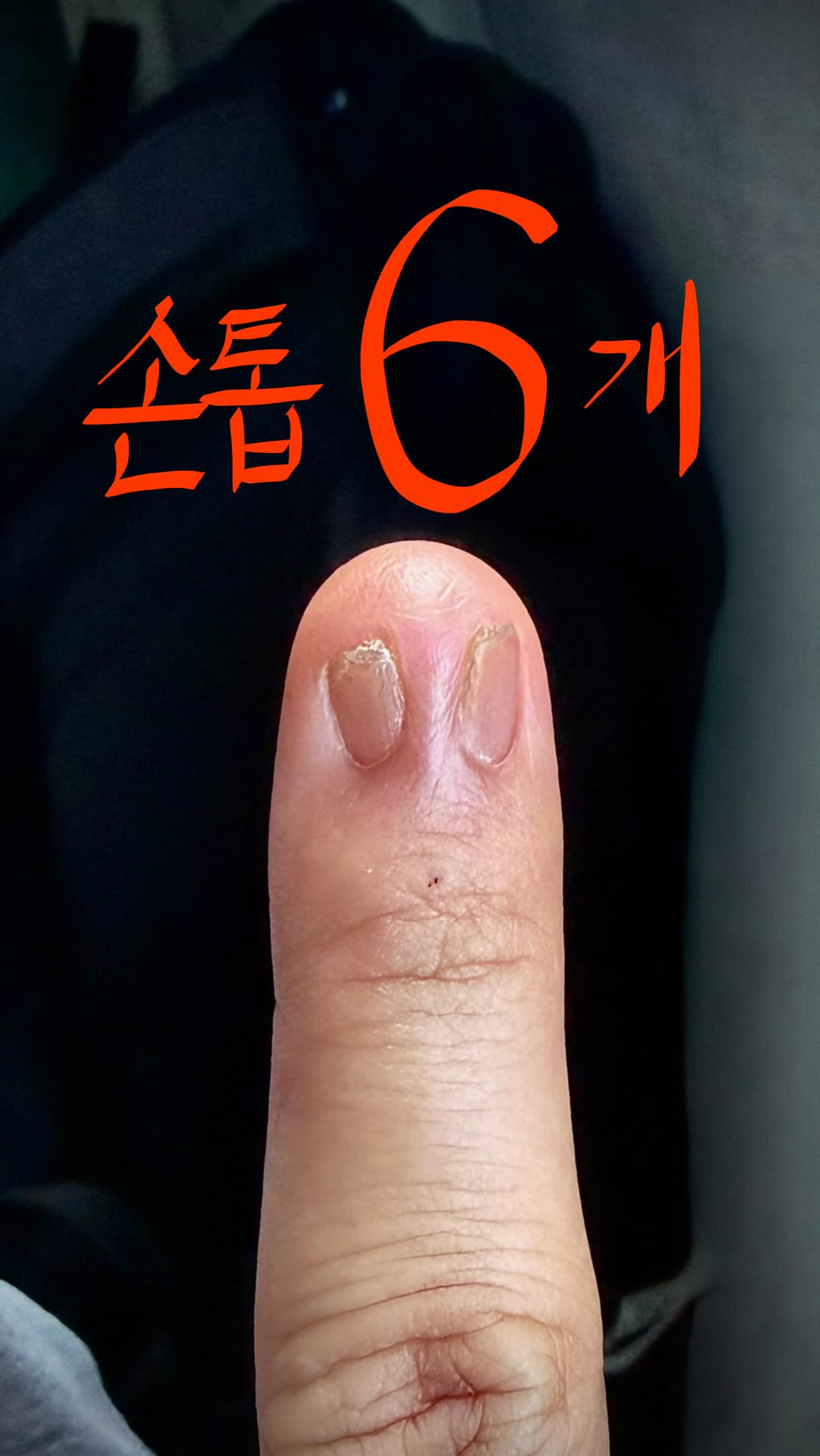 정라원 인스타그램 대표 콘텐츠 1