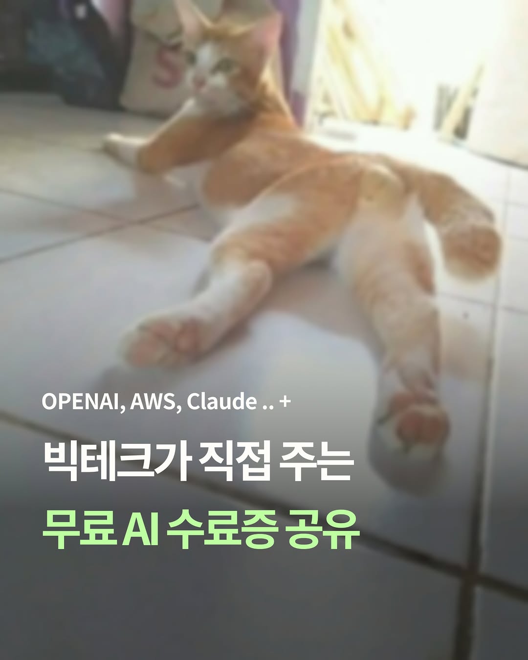 쥬띵 | 취준 · 대기업 · 외국계 인스타그램 대표 콘텐츠 1