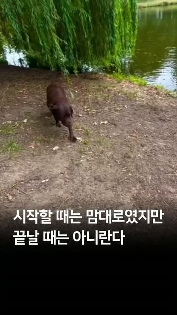 이슈 매거진 인스타그램 대표 콘텐츠 3