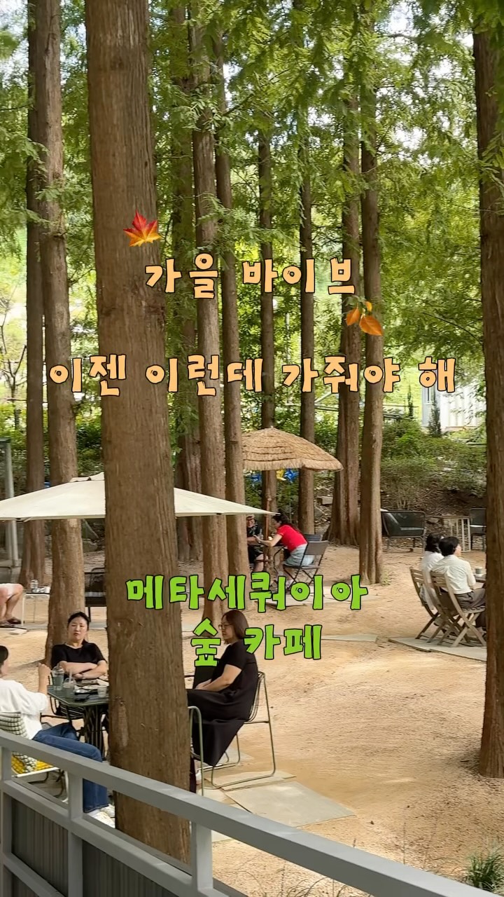 리틀조이 인스타그램 대표 콘텐츠 1