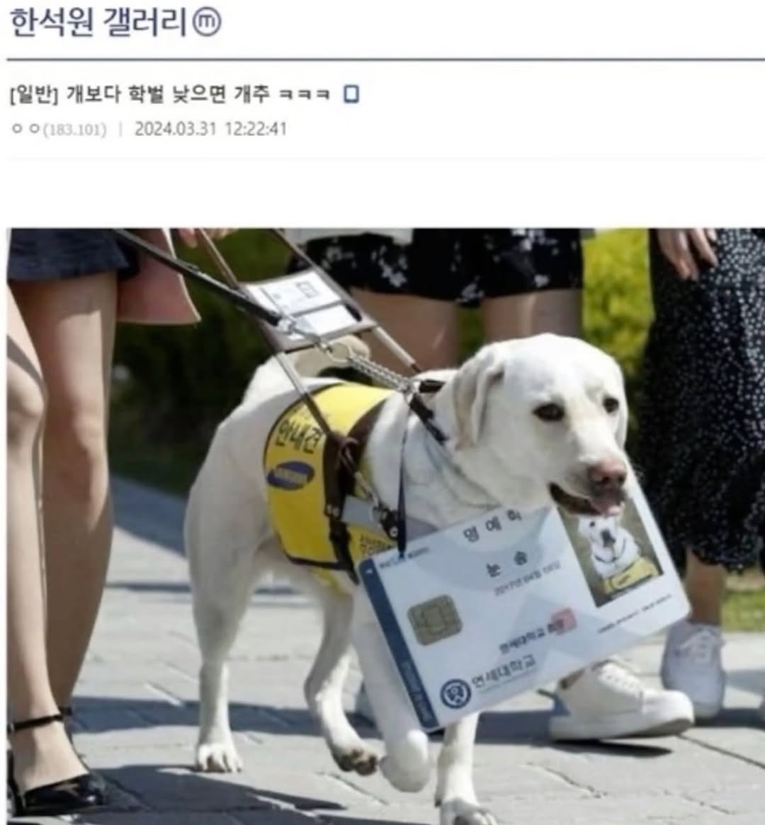 아트빌더 본캐 인스타그램 대표 콘텐츠 1