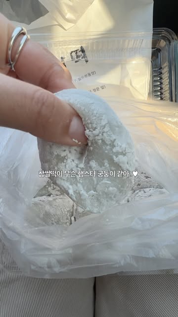 지조지조 인스타그램 대표 콘텐츠 1